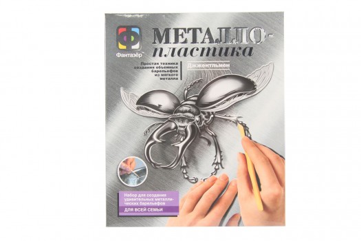 Металлопластика набор №2 `Джжентельмен жук`