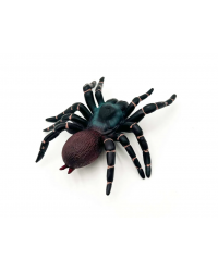 M8020 Фигурка Детское Время - Воронковый паук (цвета: черный, красный), серия: Насекомые
