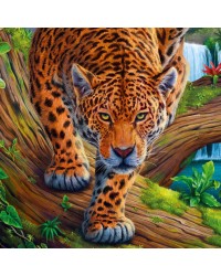 Холст с красками `Могучий леопард` (14цв.) в/к