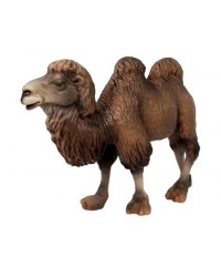 Фигурка Детское Время - Двугорбый верблюд породы Бактриан (стоит, цвет: коричневый), серия: Дикие животные