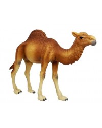 Фигурка Детское Время - Одногорбый верблюд породы Дромадер (стоит, цвет: светло-коричневый), серия: Дикие животные