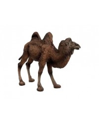 Фигурка Детское Время - Двугорбый верблюд породы Бактриан (стоит, цвет: светло-коричневый), серия: Дикие животные