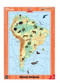 Превью-фото #1 31 Пазл Развивающий пазл `Южная Америка` (большие)