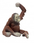 Превью-фото #4 M4071 Фигурка Детское Время - Самка орангутанга (с подвижной левой рукой, сидит), серия: Дикие животные