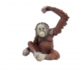 Превью-фото #6 M4071 Фигурка Детское Время - Самка орангутанга (с подвижной левой рукой, сидит), серия: Дикие животные