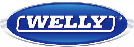Логотип welly
